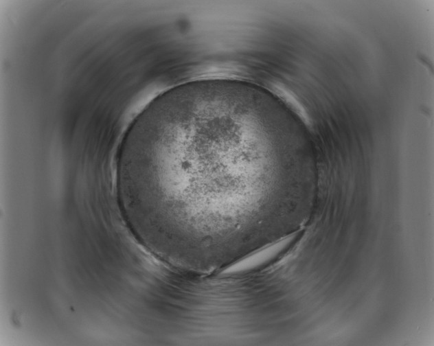 X0000097751419200803141547