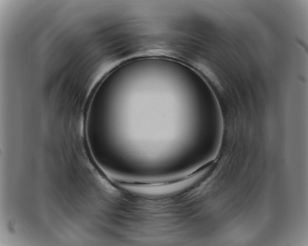 X0000097751420200803141547