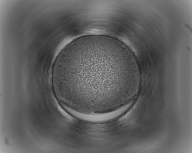X0000097751421200803141547