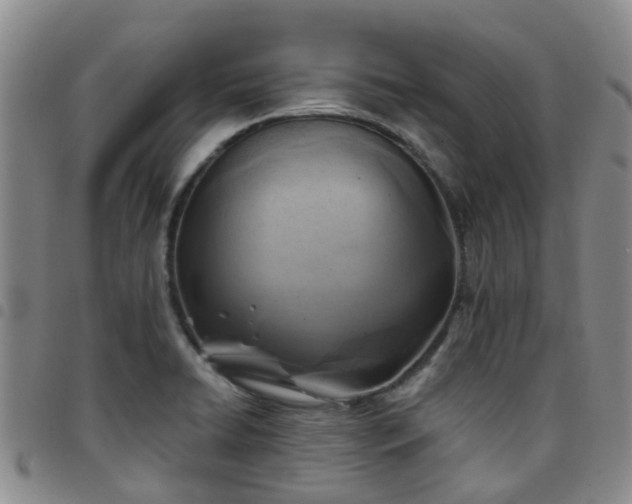 X0000097751422200803141547