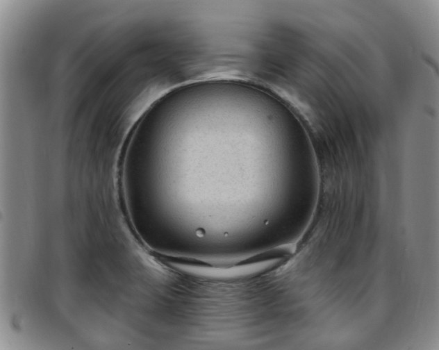 X0000097751423200803141547