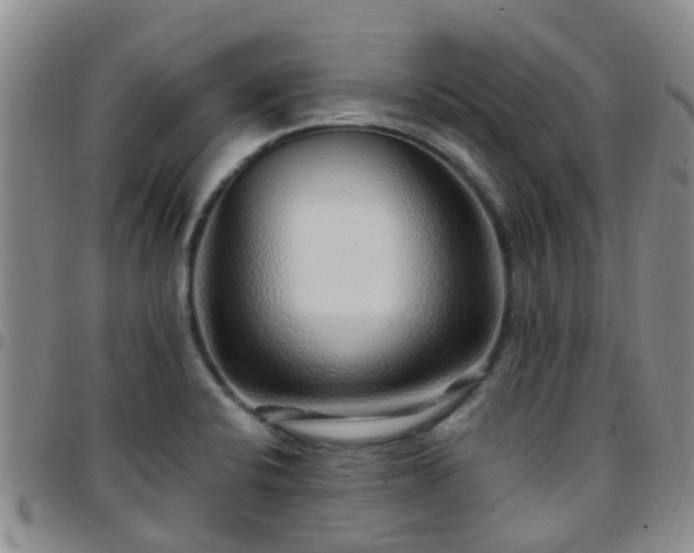 X0000097751424200803141547