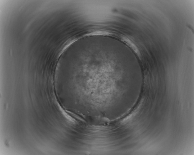 X0000097751425200803141547