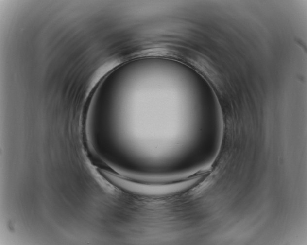 X0000097751426200803141547