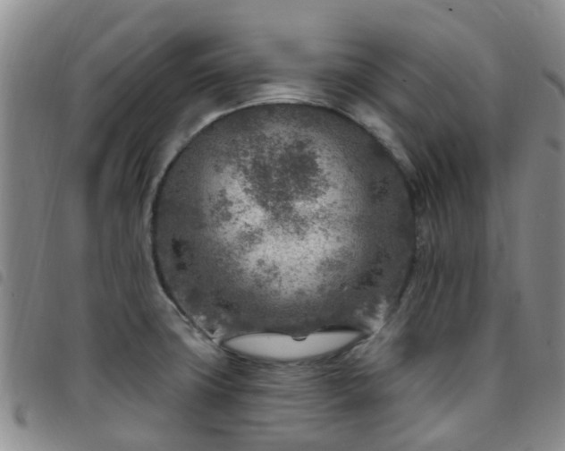 X0000097751427200803141547