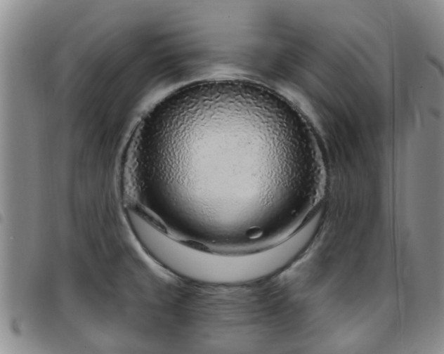 X0000097751429200803141547