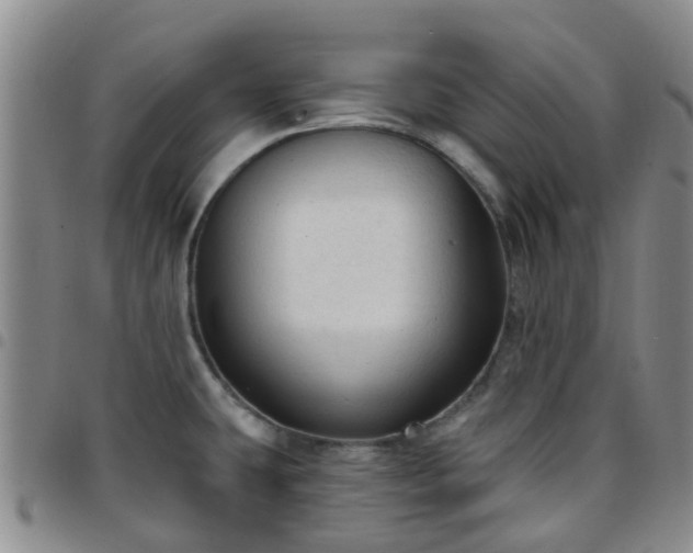 X0000097751431200803141547