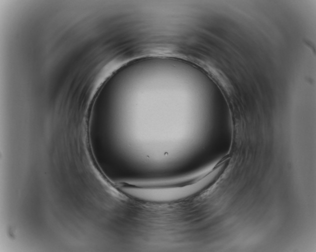 X0000097751432200803141547