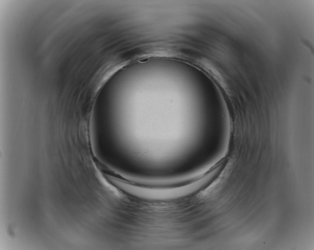 X0000097751433200803141547