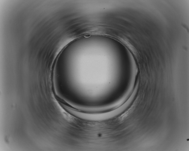 X0000097751434200803141547