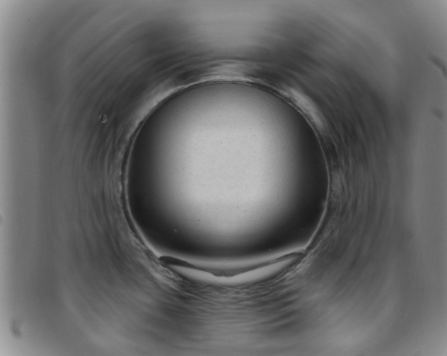 X0000097751435200803141547