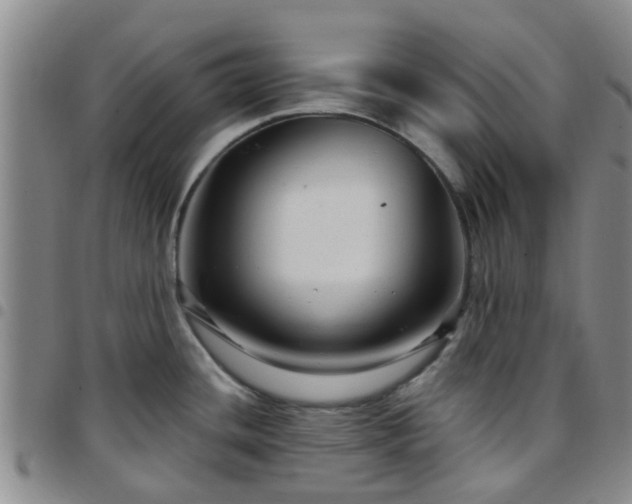 X0000097751436200803141547