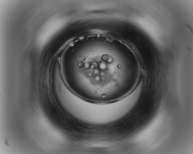 X0000097751438200803141547