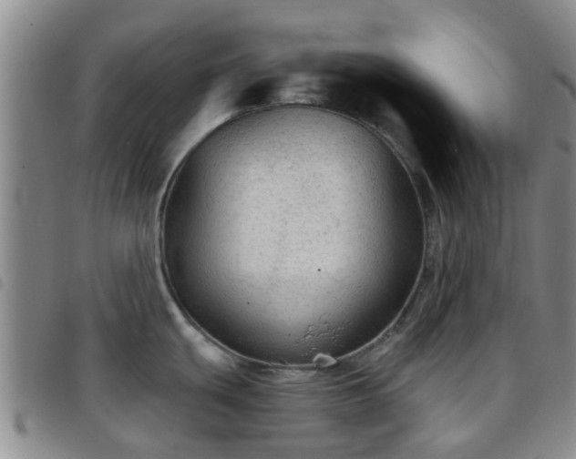 X0000097751439200803141547