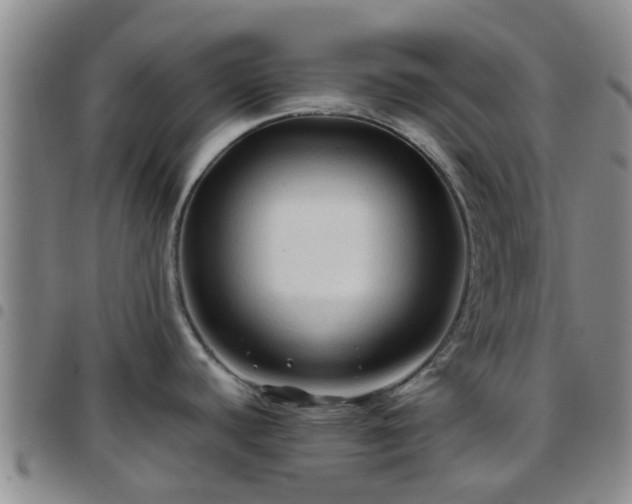 X0000097751440200803141547