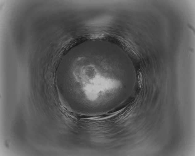 X0000097751441200803141546