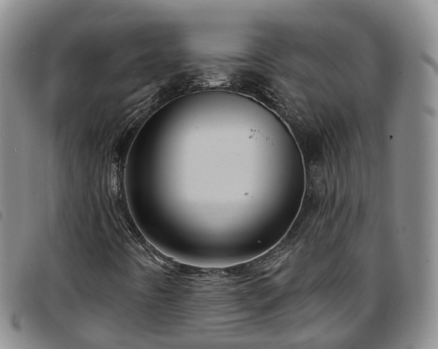 X0000097751442200803141546