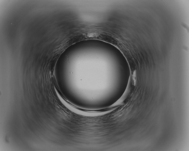 X0000097751443200803141546