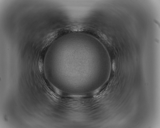 X0000097751444200803141546