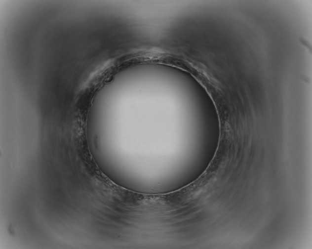 X0000097751447200803141546