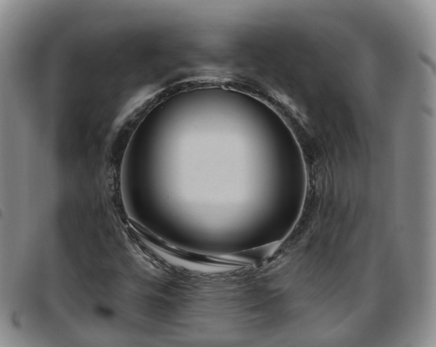 X0000097751448200803141546