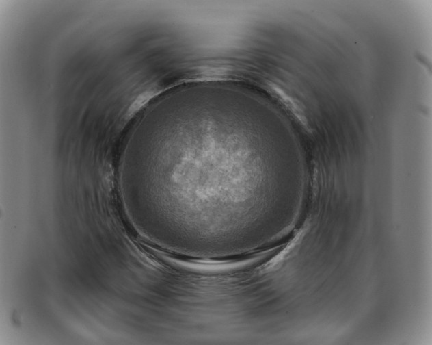 X0000097751449200803141546