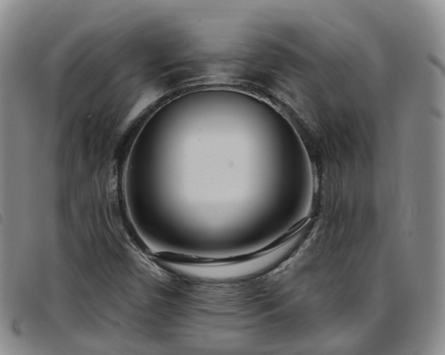 X0000097751450200803141546