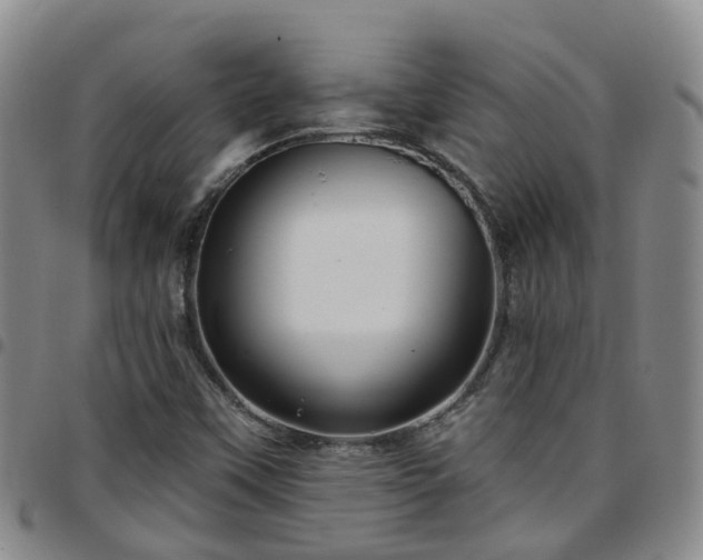 X0000097751451200803141546