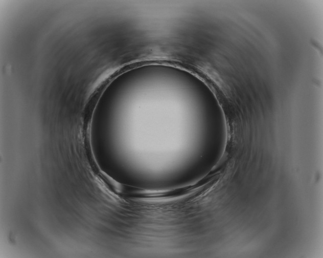 X0000097751452200803141546