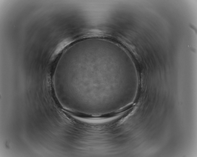 X0000097751453200803141546