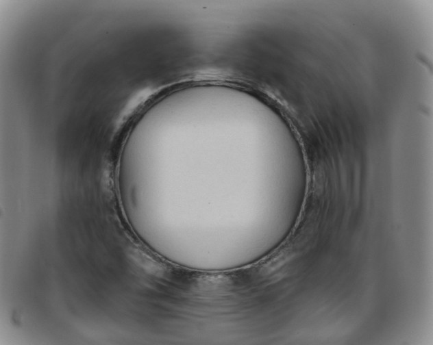 X0000097751454200803141546