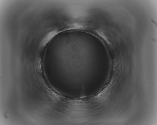 X0000097751455200803141546