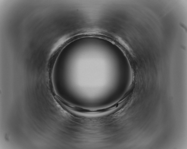 X0000097751456200803141546