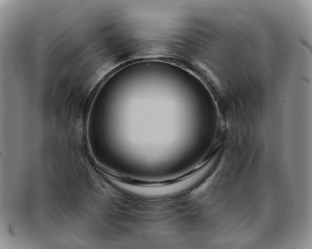 X0000097751457200803141546