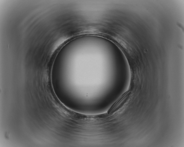 X0000097751458200803141546