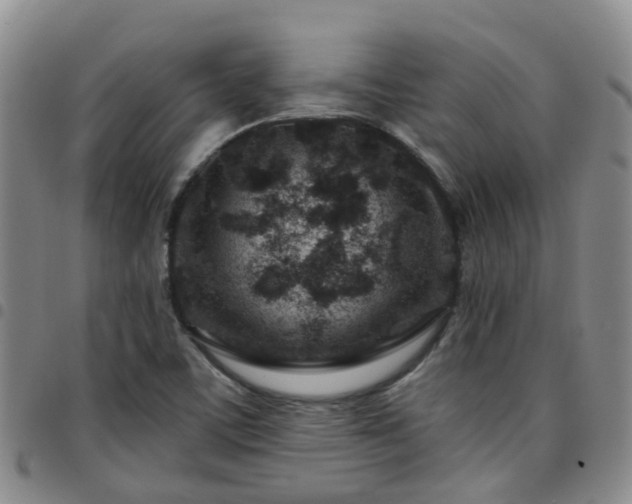 X0000097751459200803141546