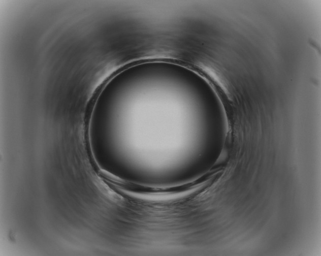 X0000097751460200803141546