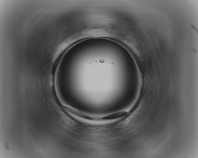 X0000097751461200803141546