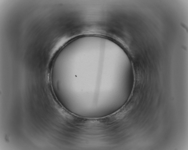 X0000097751462200803141546