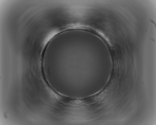 X0000097751463200803141546