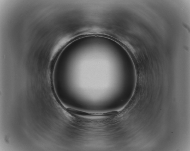 X0000097751464200803141546