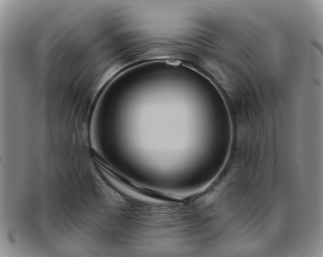 X0000097751465200803141546