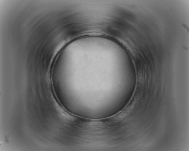 X0000097751466200803141546