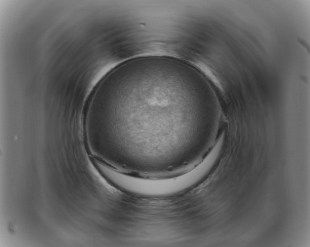 X0000097751468200803141546