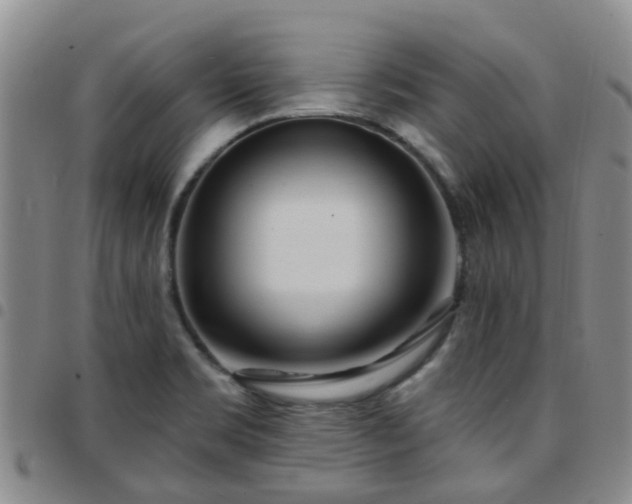 X0000097751469200803141546