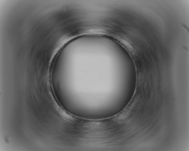 X0000097751470200803141546