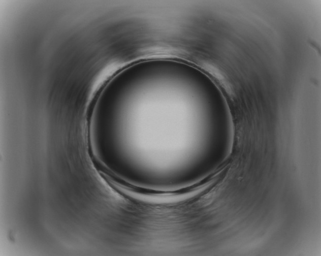 X0000097751472200803141546