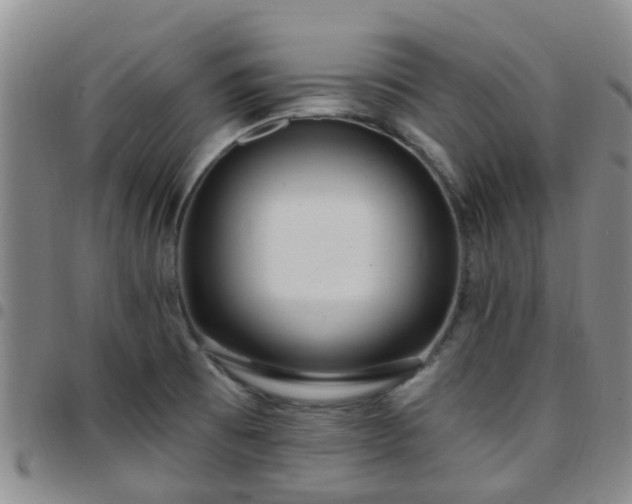 X0000097751473200803141546