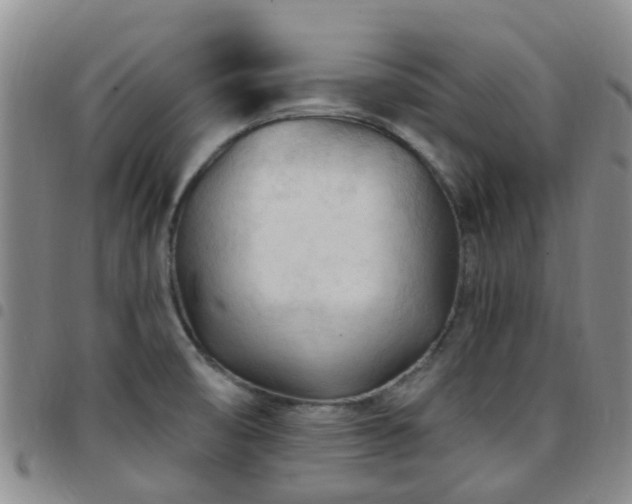 X0000097751474200803141546