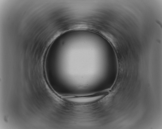 X0000097751475200803141546